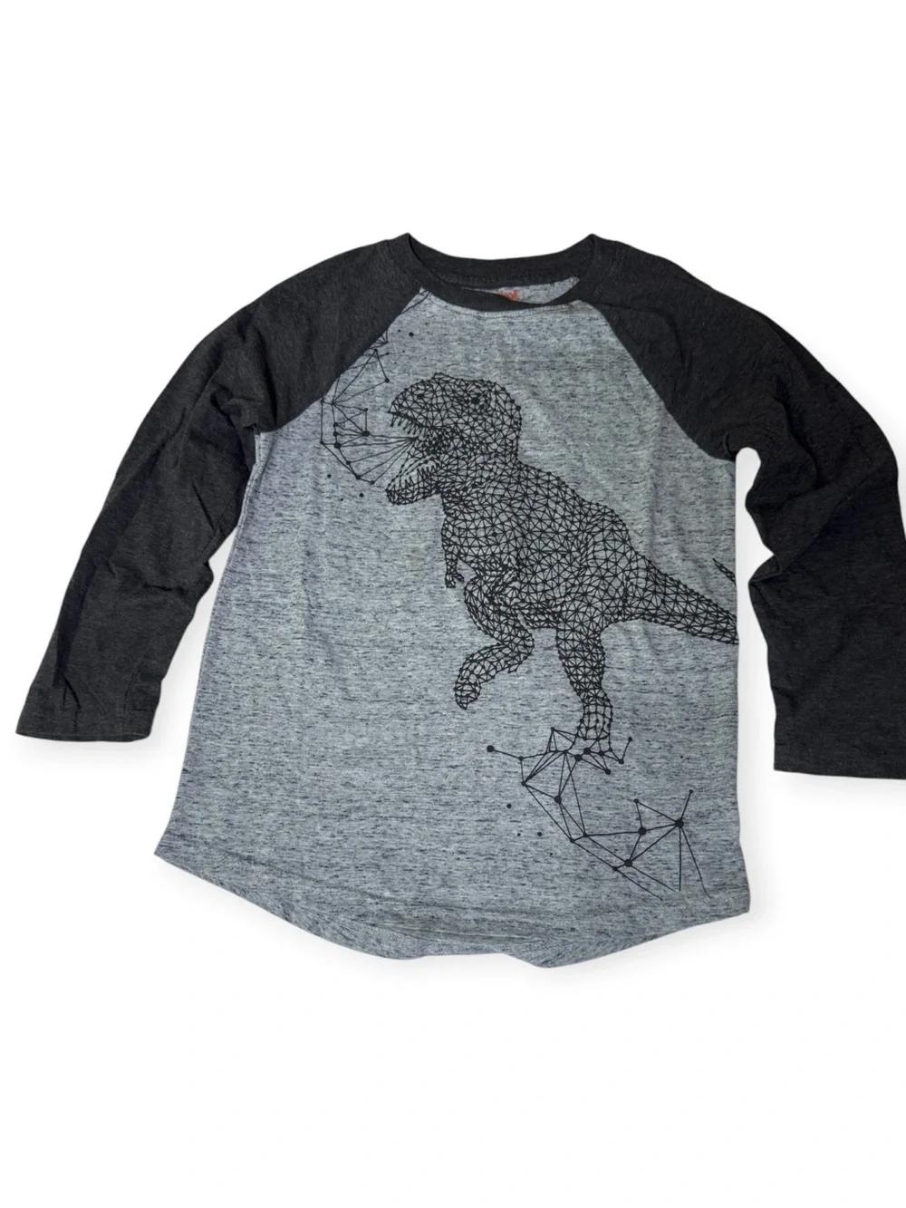 Cat & Jack Boys 6/7 Dinosaur Spiderweb Top & Jogger Pants Set VALUE
